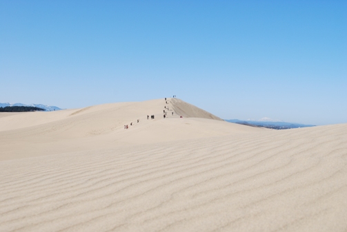 砂丘の様子