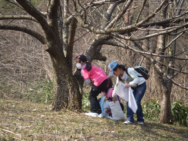 写真2