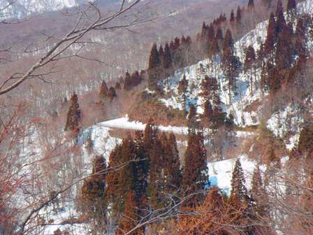 大山環状道路の風景