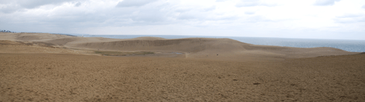 「馬の背」の風景－寒い北北西の風の中にあります