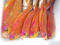 シキシマハナダイ