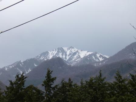 琴浦町野井倉から望む大山