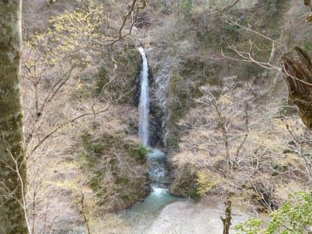 展望台から望む大山滝