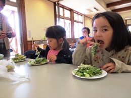 試食会の様子