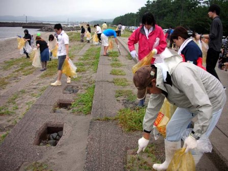 綺麗になる海岸