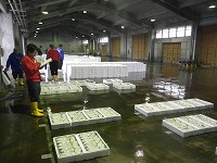 賀露～泊の水揚げ状況
