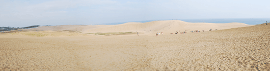 「馬の背」の風景－穏やかな日本海が見えます