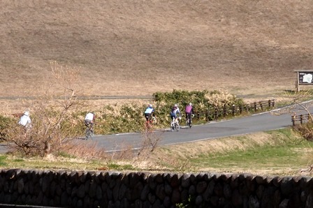 蒜山へ行く自転車の一行