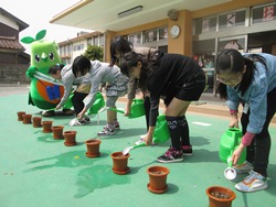 6年生が水やりをしています