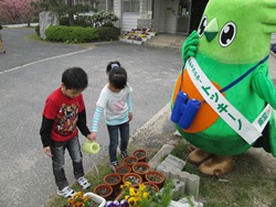 大切にお世話をしています