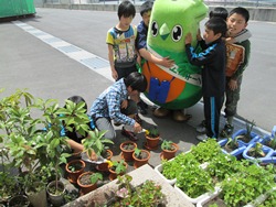 水やりをしている様子です