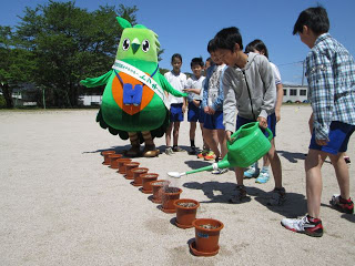 水やりをしている様子です