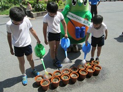 全校児童で交代で水やりをしています