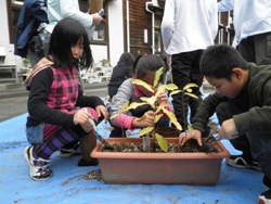 植替え作業