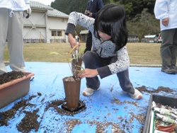 ポットへ植え替え