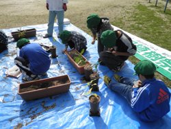 植替作業、ポットについての説明