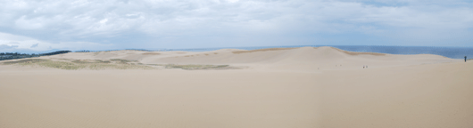 「馬の背」の風景－風紋が広がっています