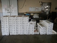 淀江定置網等の水揚げ物
