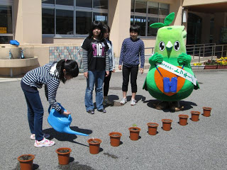 水やりをしている様子です