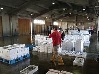 賀露～泊の水揚げ状況