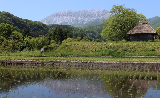 江府町御机地区の田んぼ