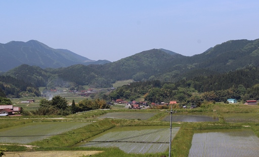 日南町の田んぼ