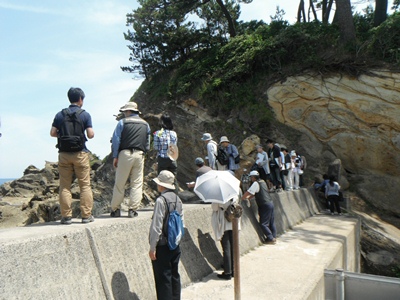 岩戸海岸