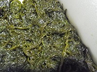 ウミゾウメン