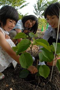 めぐみの森の植樹の様子