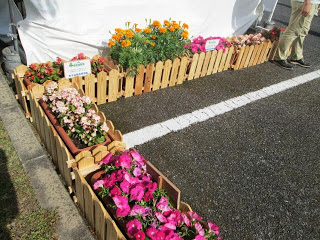 県内の高校生が育てたきれいな花々