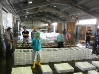 酒津、浜村、夏泊、青谷、泊