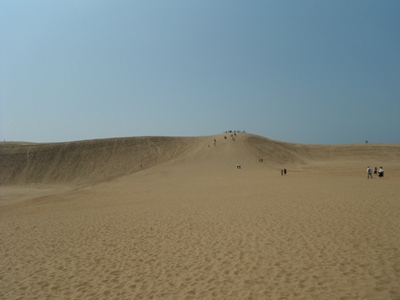 砂丘の風景