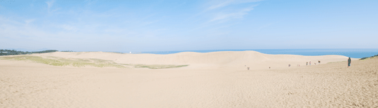 「馬の背」の風景－日本海のブルーとの対比が美しいです