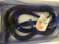 ウナギ（中海）