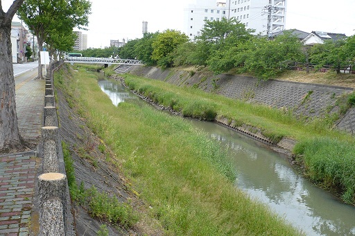 除草前の写真