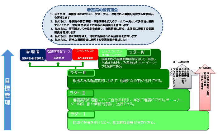 クリニカルラダー図2017