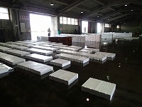 酒津～泊の水揚げ状況