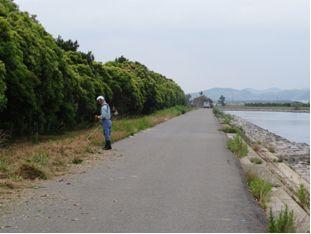 湖岸の除草作業