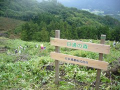 完了
