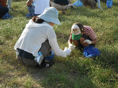 雑草を探す子ども