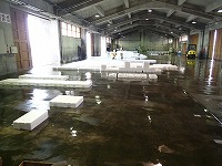 賀露～泊の水揚げ状況