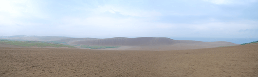 「馬の背」の風景－雨に濡れた砂が広がっています