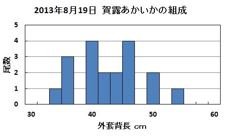 あかいかの組成