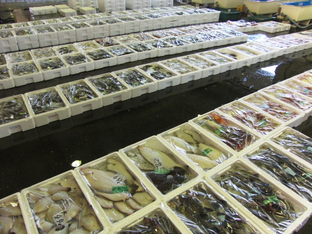 かろの沿岸もの水揚げ
