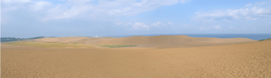 「馬の背」の風景－雨に濡れた砂が広がっています