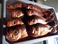 チカメキントキダイ