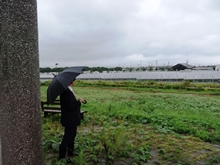 視察