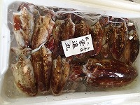 アオリイカ