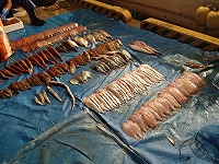 美保湾で操業した漁船の漁獲物