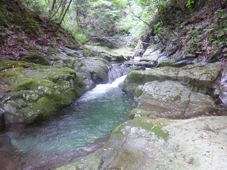 滝の上端の一枚岩渓谷